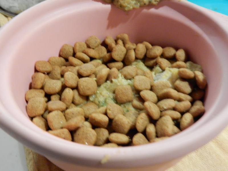 f:id:miyuki1967:20160627112851j:image:w450