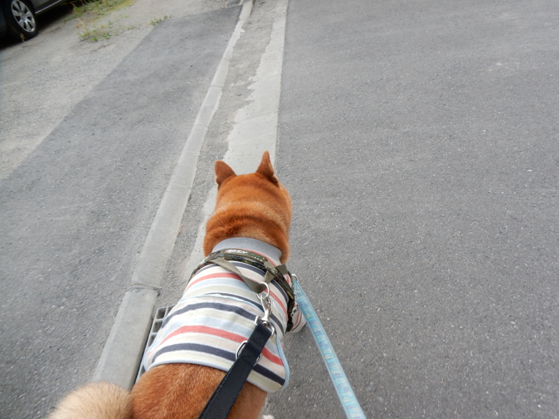 f:id:miyuki1967:20160712114445j:image:w450