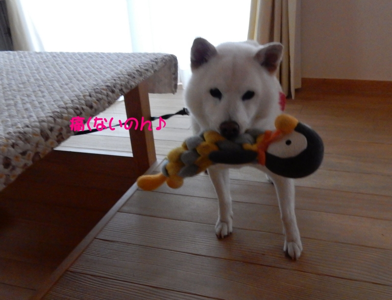 f:id:miyuki1967:20160715110330j:image:w450