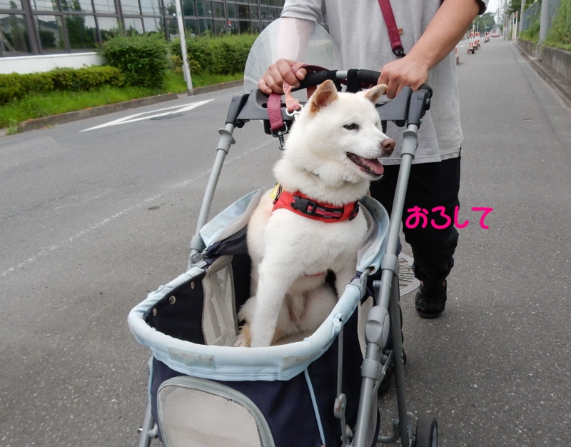 f:id:miyuki1967:20160715110429j:image:w450