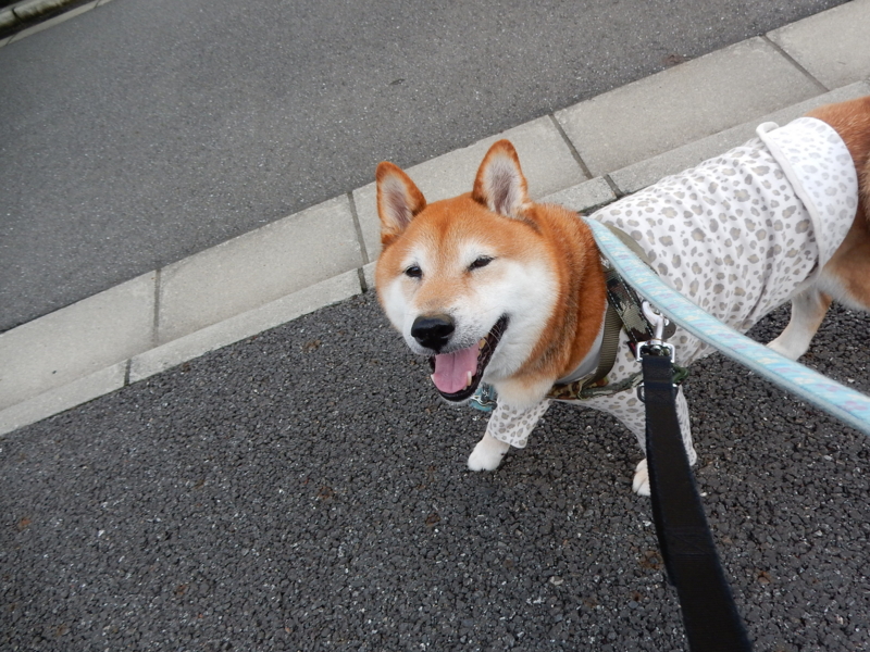 f:id:miyuki1967:20160719114405j:image:w450 f:id:miyuki1967:20160719114405j:image:w450