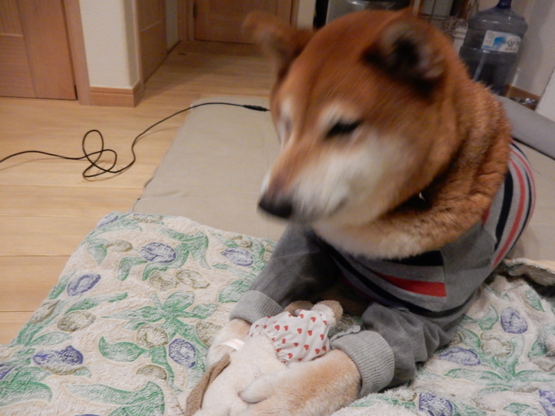 f:id:miyuki1967:20160830113115j:image:w450 f:id:miyuki1967:20160830113115j:image:w450