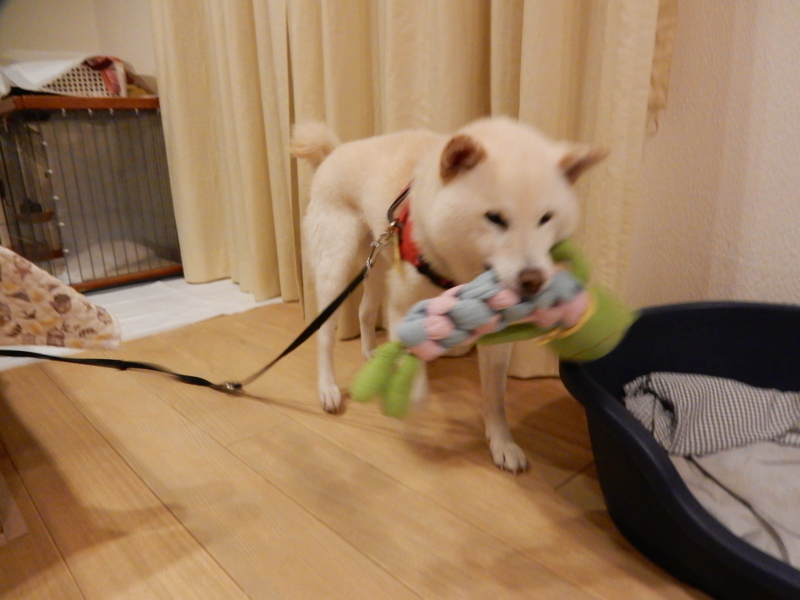 f:id:miyuki1967:20160830113621j:image:w450