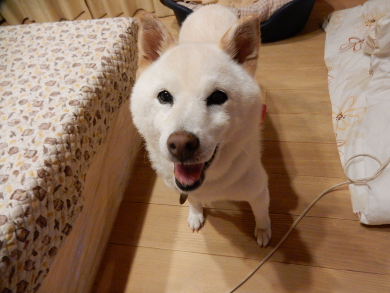 f:id:miyuki1967:20160908111658j:image:w450