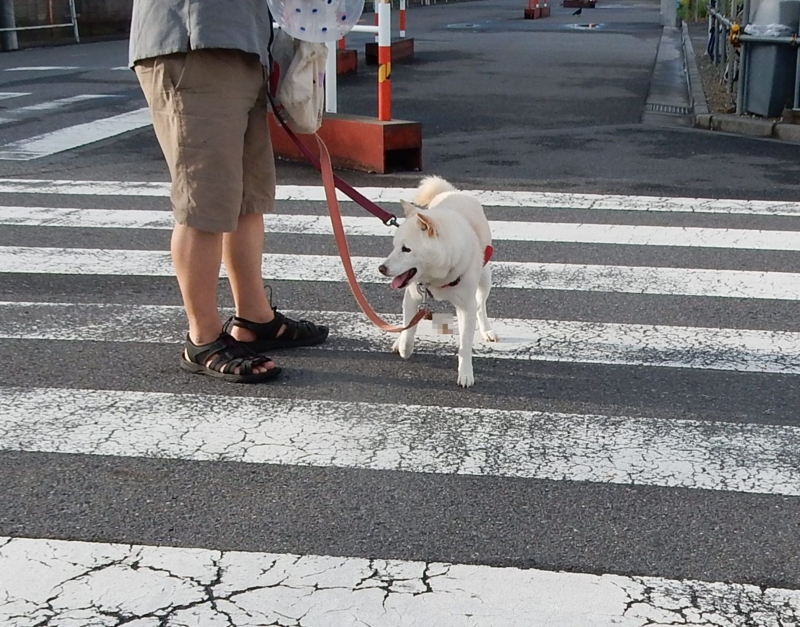 f:id:miyuki1967:20160909111407j:image:w450