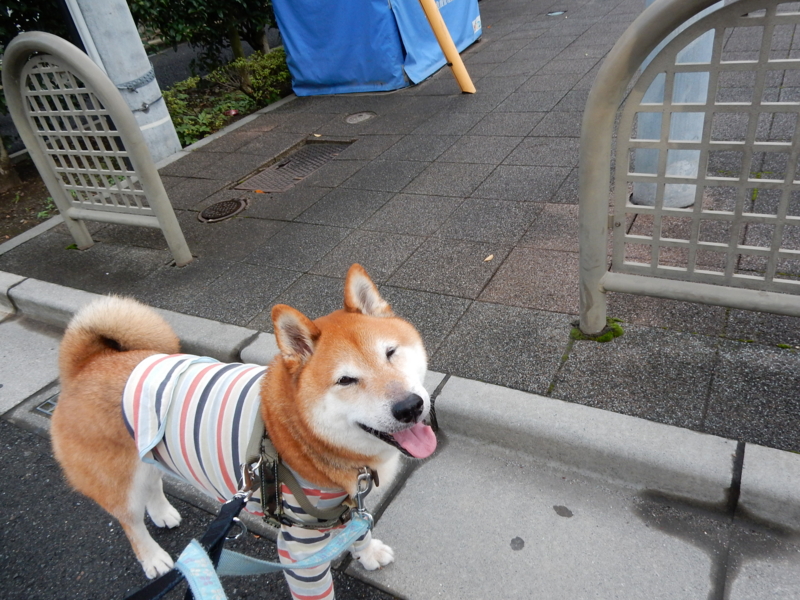 f:id:miyuki1967:20160909111535j:image:w450