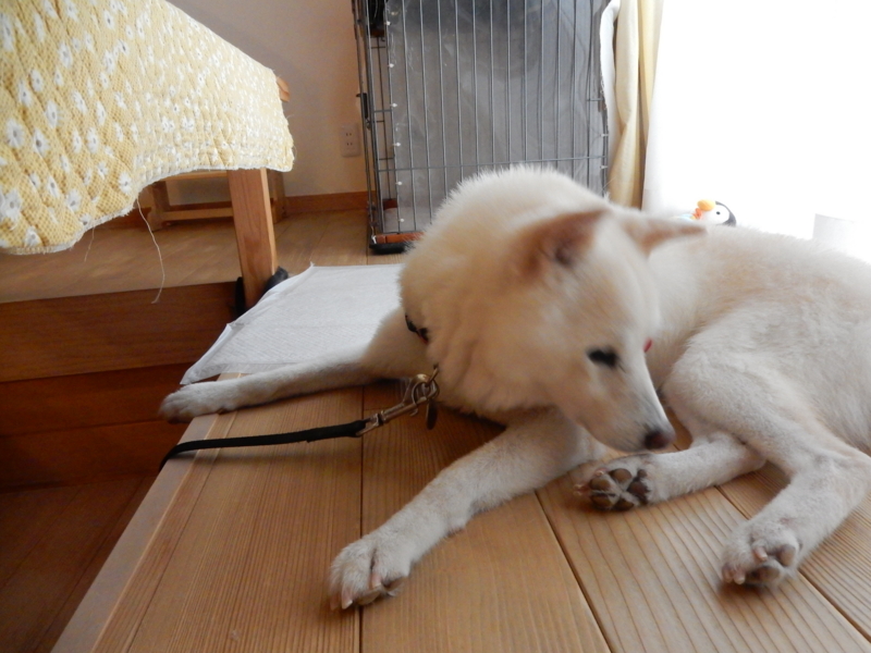 f:id:miyuki1967:20160923155800j:image:w450