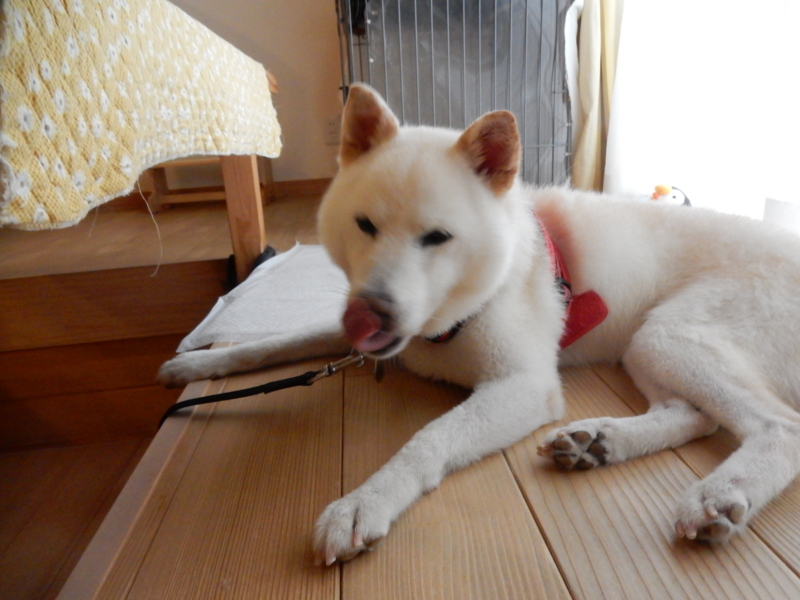 f:id:miyuki1967:20160923155820j:image:w450