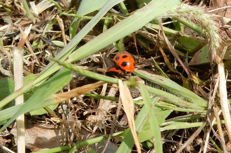 f:id:miyuki1967:20160927104210j:image:w450