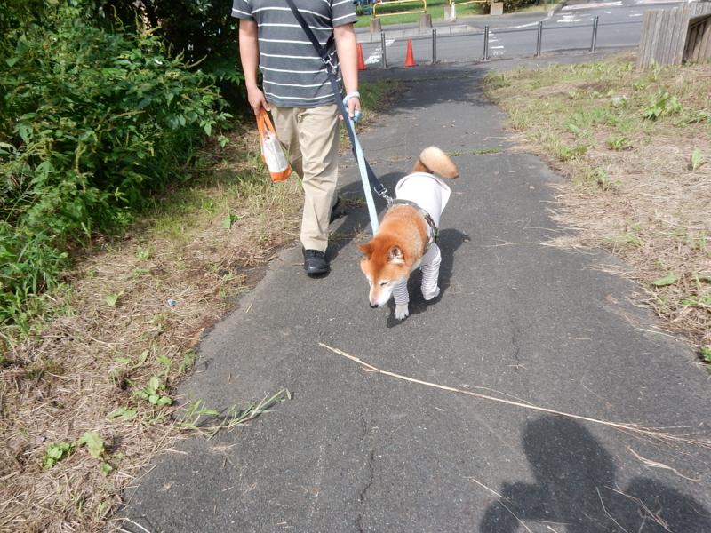 f:id:miyuki1967:20160927104243j:image:w450