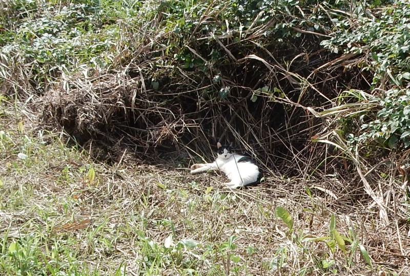 f:id:miyuki1967:20160927110303j:image:w450