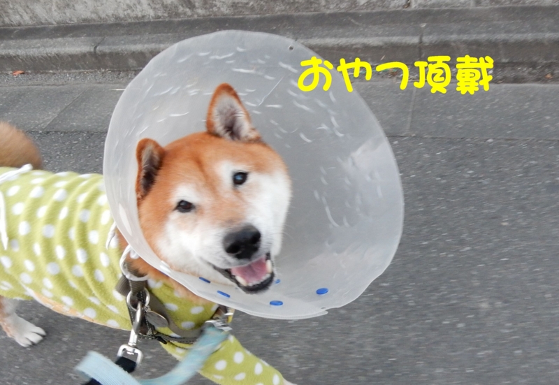 f:id:miyuki1967:20161202113840j:image:w450