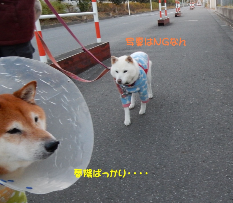 f:id:miyuki1967:20161202113841j:image:w450