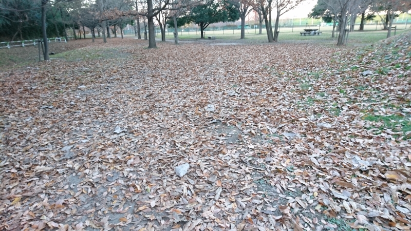 f:id:miyuki1967:20161215112205j:image:w450