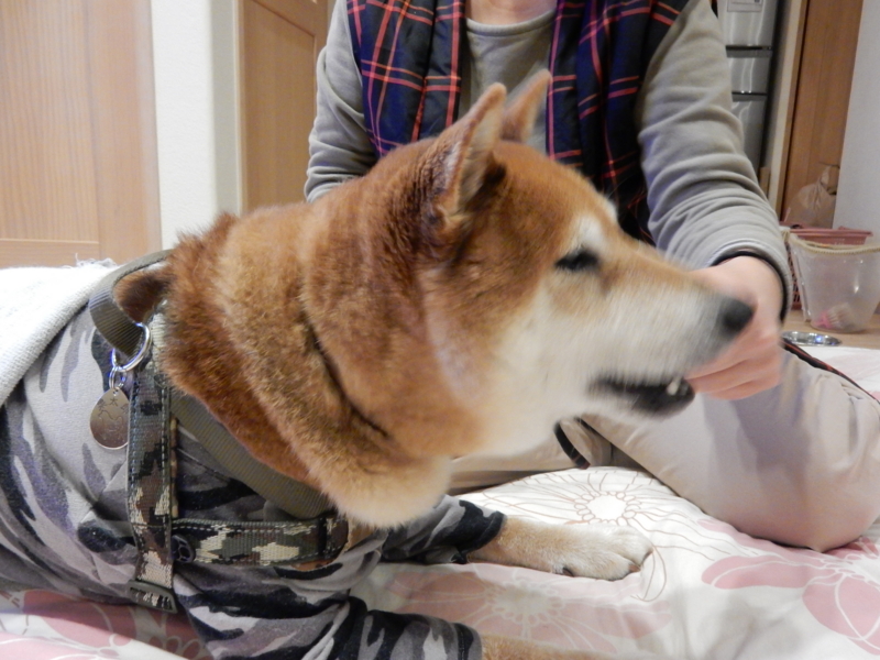 f:id:miyuki1967:20161226125329j:image:w450 f:id:miyuki1967:20161226125329j:image:w450