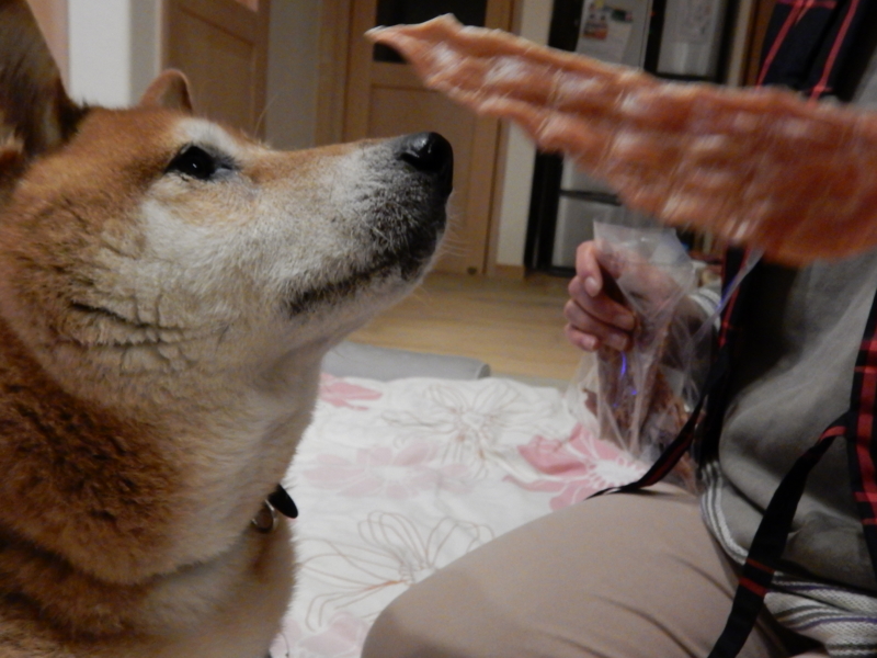 f:id:miyuki1967:20161226125330j:image:w450 f:id:miyuki1967:20161226125330j:image:w450