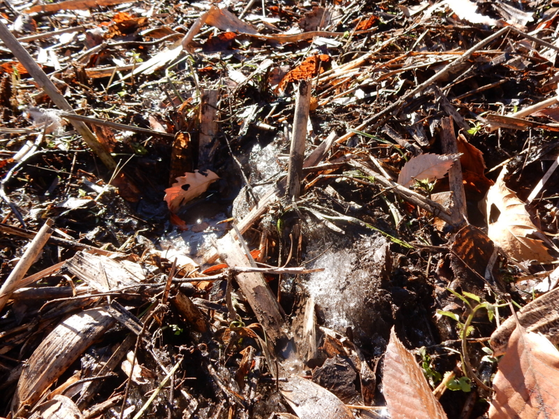 f:id:miyuki1967:20161227104456j:image:w450 f:id:miyuki1967:20161227104456j:image:w450