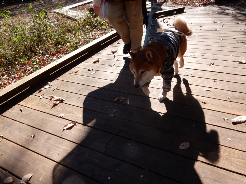 f:id:miyuki1967:20161227104458j:image:w450 f:id:miyuki1967:20161227104458j:image:w450