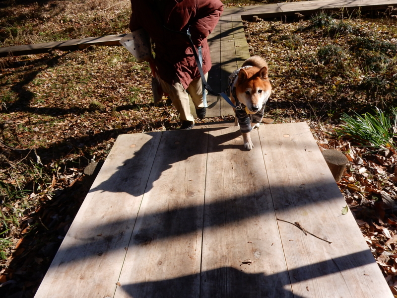 f:id:miyuki1967:20161227104459j:image:w450 f:id:miyuki1967:20161227104459j:image:w450