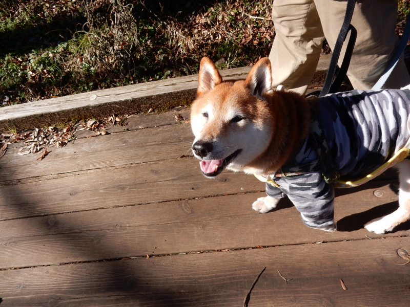 f:id:miyuki1967:20161227105832j:image:w450 f:id:miyuki1967:20161227105832j:image:w450