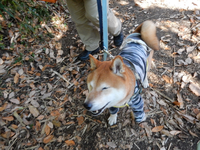 f:id:miyuki1967:20161227105833j:image:w450 f:id:miyuki1967:20161227105833j:image:w450