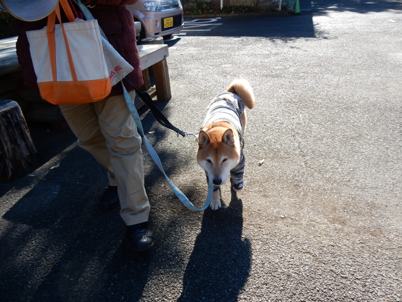 f:id:miyuki1967:20161227105834j:image:w450 f:id:miyuki1967:20161227105834j:image:w450