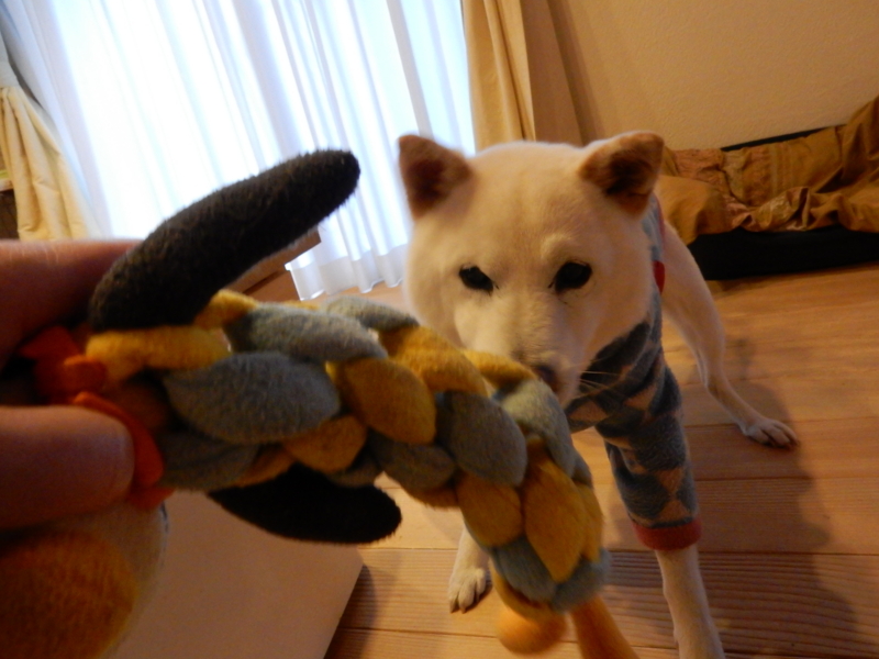 f:id:miyuki1967:20170114120914j:image:w450