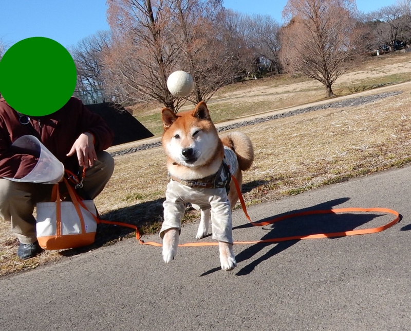 f:id:miyuki1967:20170217115529j:image:w450 f:id:miyuki1967:20170217115529j:image:w450