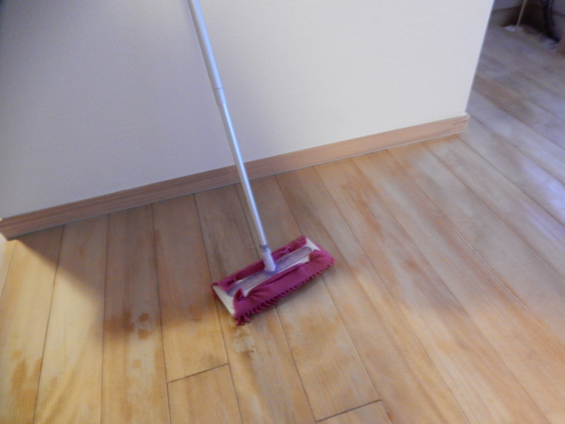 f:id:miyuki1967:20170227113451j:image:w450 f:id:miyuki1967:20170227113451j:image:w450