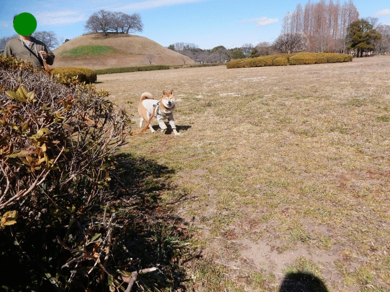 f:id:miyuki1967:20170302105456g:image:w450 f:id:miyuki1967:20170302105456g:image:w450