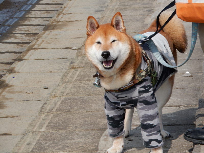 f:id:miyuki1967:20170309114606j:image:w450 f:id:miyuki1967:20170309114606j:image:w450