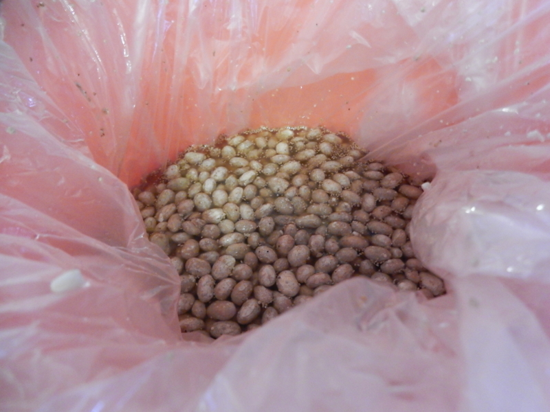 f:id:miyuki1967:20170328112512j:image:w450