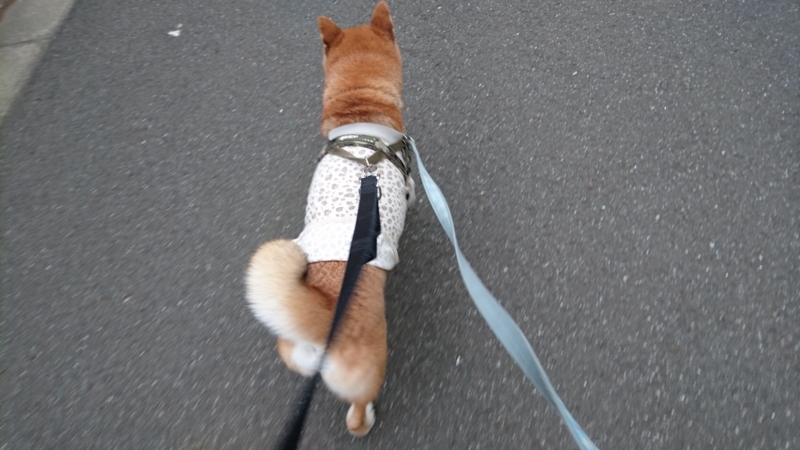 f:id:miyuki1967:20170808111948j:image:w450