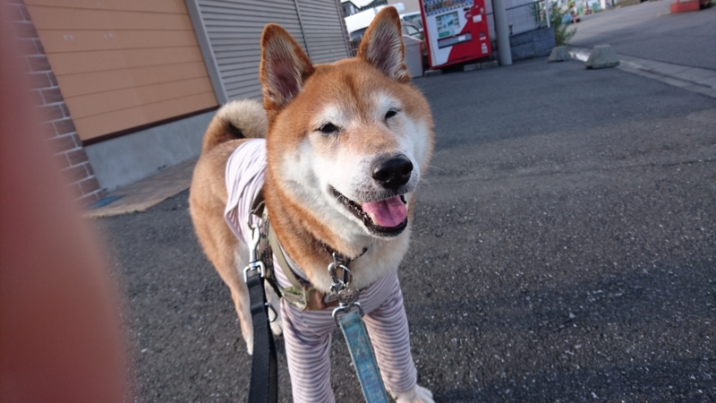 f:id:miyuki1967:20170808111951j:image:w450