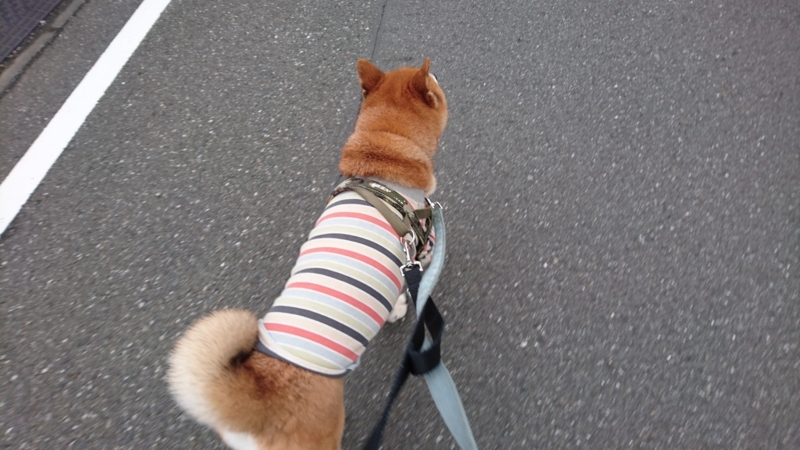 f:id:miyuki1967:20170808111954j:image:w450