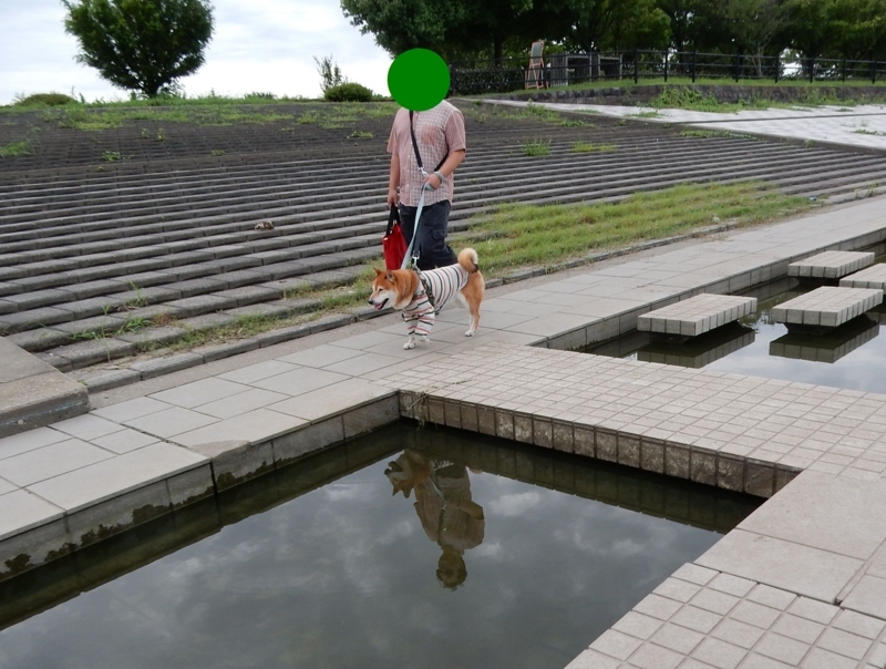 f:id:miyuki1967:20170829091601j:image:w450