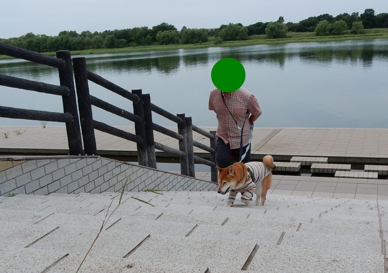 f:id:miyuki1967:20170829091604j:image:w450