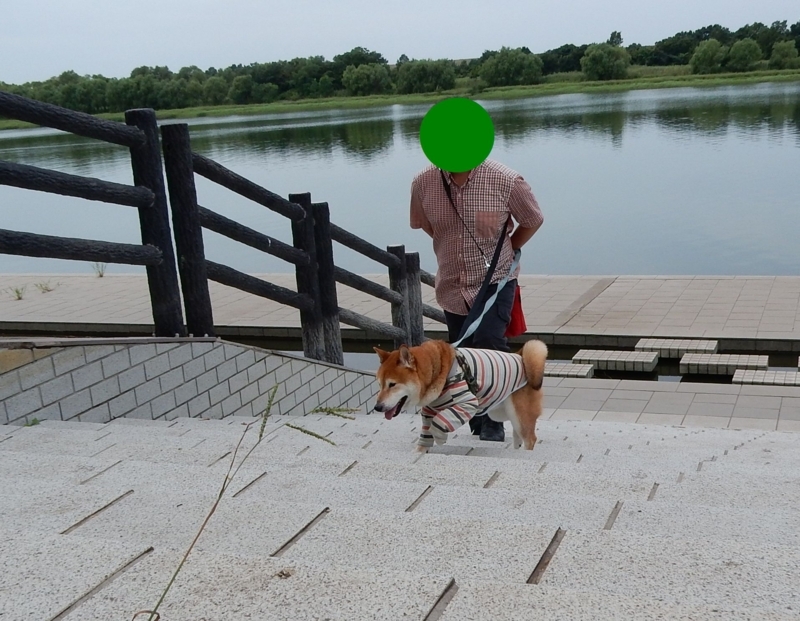 f:id:miyuki1967:20170829091605j:image:w450