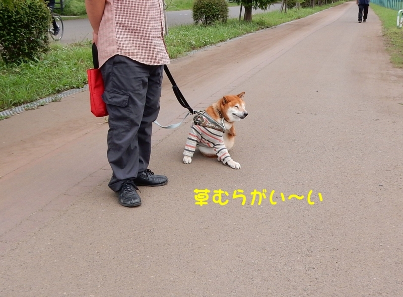 f:id:miyuki1967:20170829091607j:image:w450