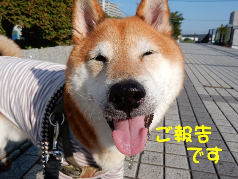 f:id:miyuki1967:20171010094947j:image:w450 f:id:miyuki1967:20171010094947j:image:w450