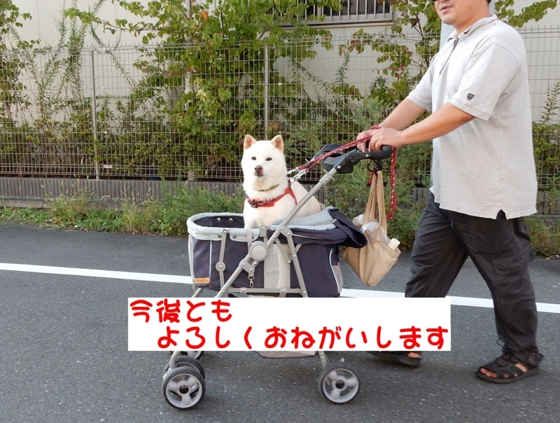 f:id:miyuki1967:20171010094948j:image:w450 f:id:miyuki1967:20171010094948j:image:w450