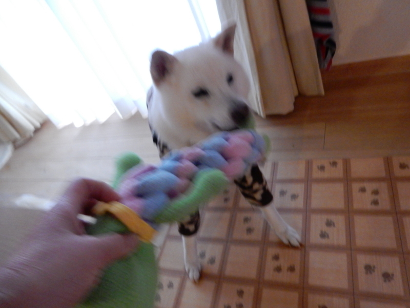 f:id:miyuki1967:20171020112316j:image:w450 f:id:miyuki1967:20171020112316j:image:w450