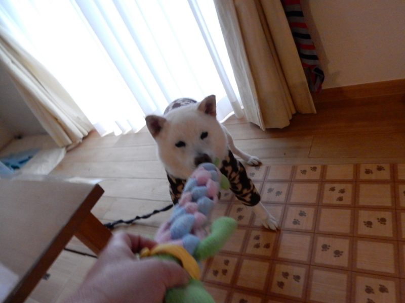 f:id:miyuki1967:20171020112317j:image:w450 f:id:miyuki1967:20171020112317j:image:w450