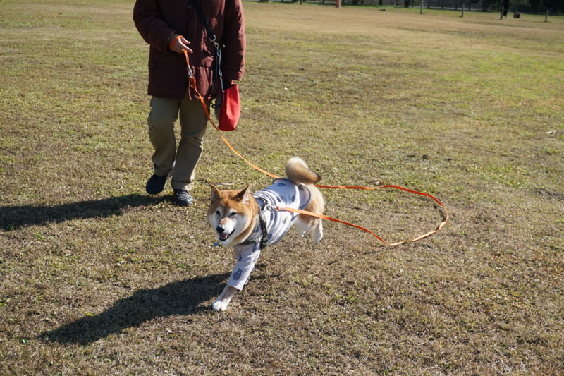 f:id:miyuki1967:20171120114837j:image:w450