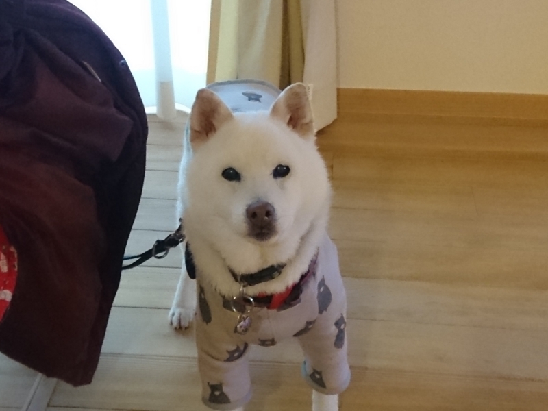 f:id:miyuki1967:20171124112818j:image:w450