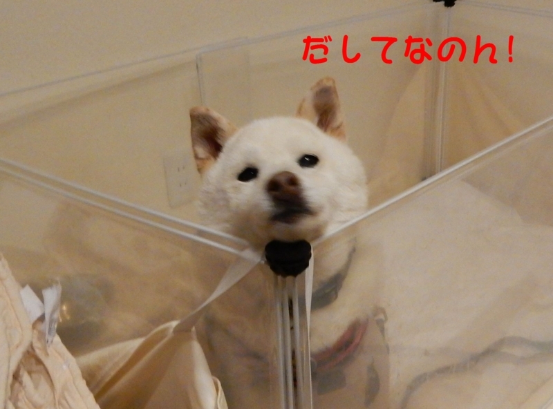 f:id:miyuki1967:20171208104115j:image:w450 f:id:miyuki1967:20171208104115j:image:w450