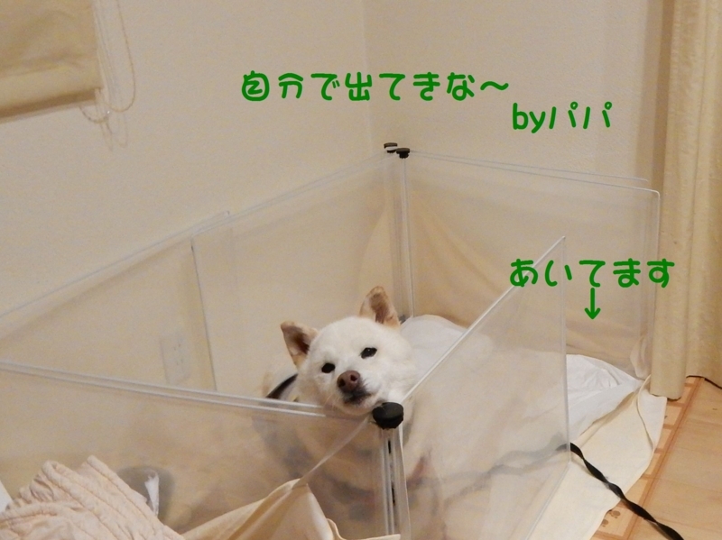 f:id:miyuki1967:20171208104116j:image:w450 f:id:miyuki1967:20171208104116j:image:w450