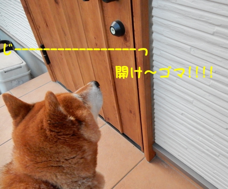 f:id:miyuki1967:20171208104117j:image:w450 f:id:miyuki1967:20171208104117j:image:w450