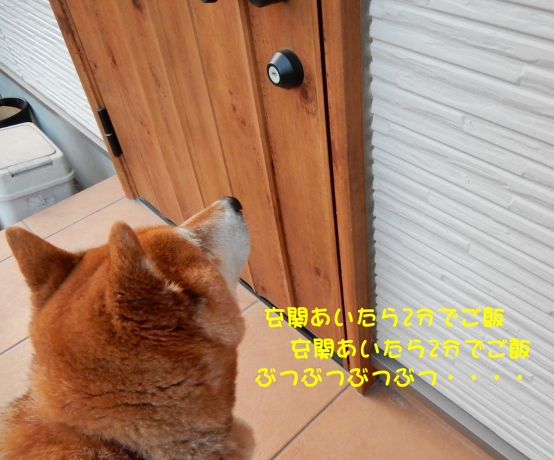 f:id:miyuki1967:20171208104118j:image:w450 f:id:miyuki1967:20171208104118j:image:w450