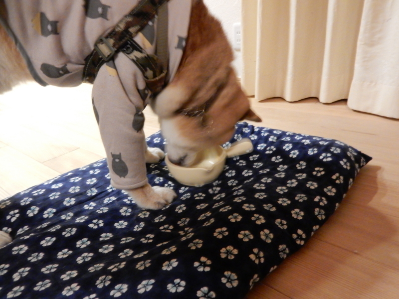 f:id:miyuki1967:20171209100212j:image:w450